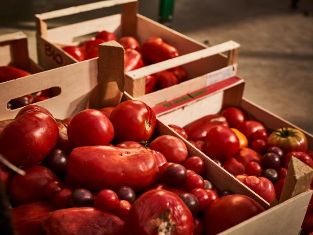 Caisses de tomates - Jardins de Cocagne de Limon - Vauhallan