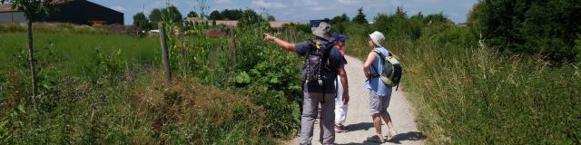 Visite du Plateau de Saclay