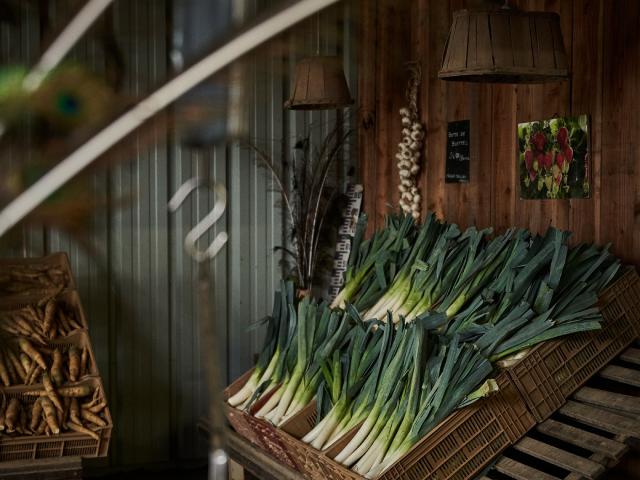 Ferme Trubuil - vente de poireaux