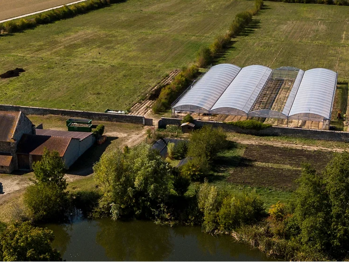 Ferme école Graines d’Avenir Manger Local à Paris Saclay