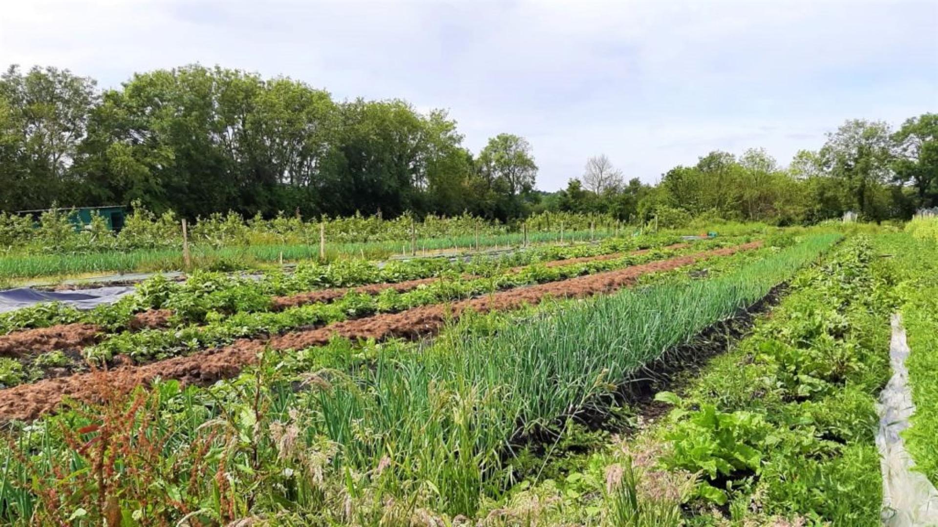 Ferme de Gisy Manger Local à Paris Saclay