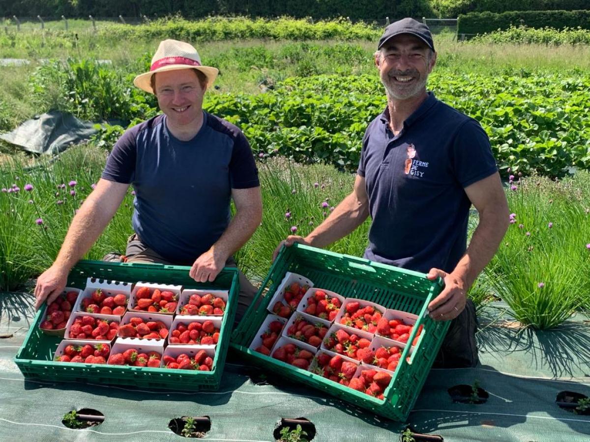 Ferme de Gisy Manger Local à Paris Saclay