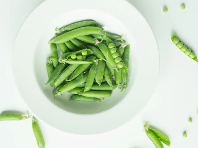 Nicholas Barbaros Iwklrhvbgza Unsplash