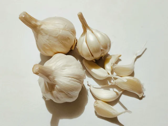 Surya Prakash 7alcc15w59w Unsplash